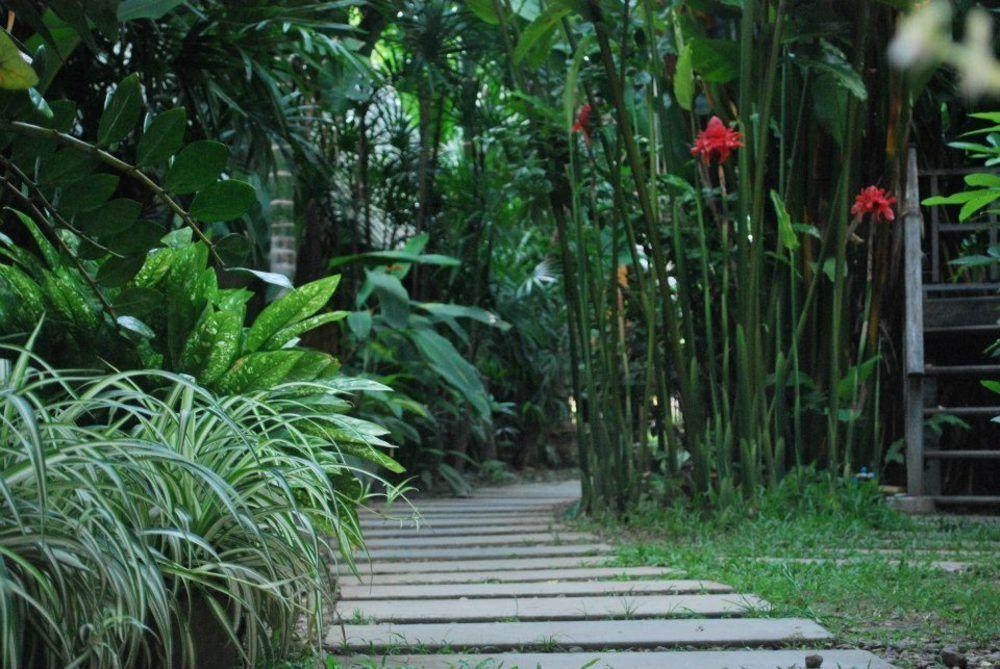 Breeze Of Pai Guesthouse מראה חיצוני תמונה