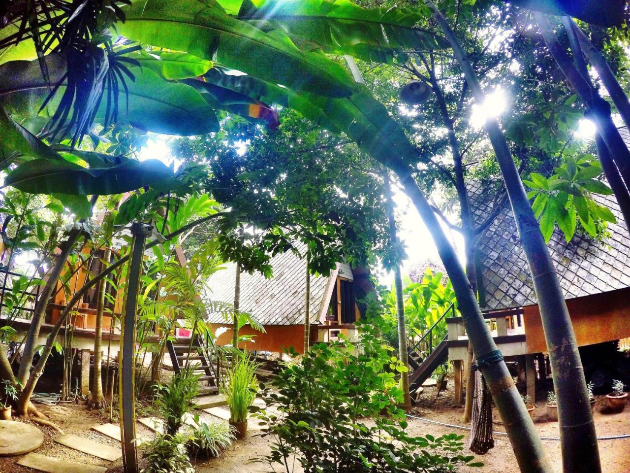 Breeze Of Pai Guesthouse מראה חיצוני תמונה