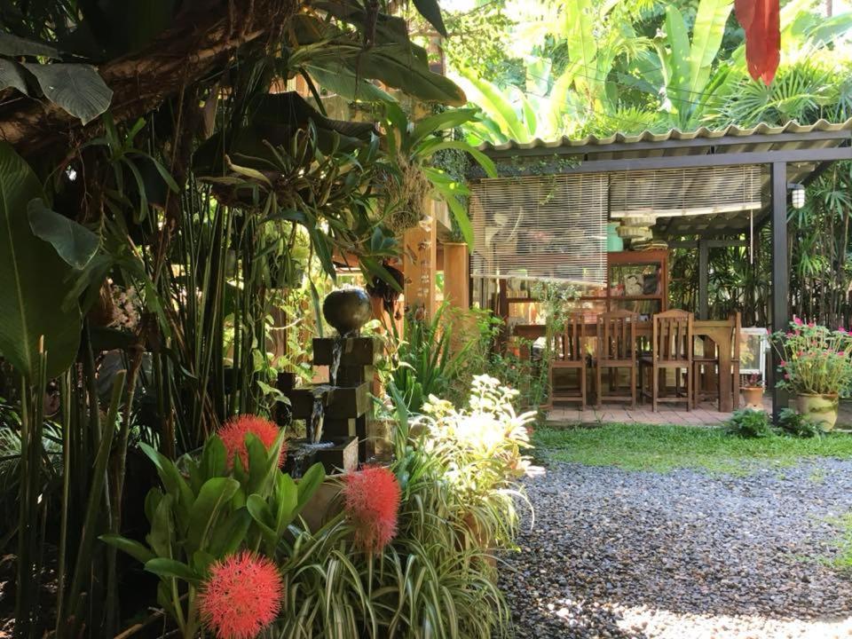 Breeze Of Pai Guesthouse מראה חיצוני תמונה